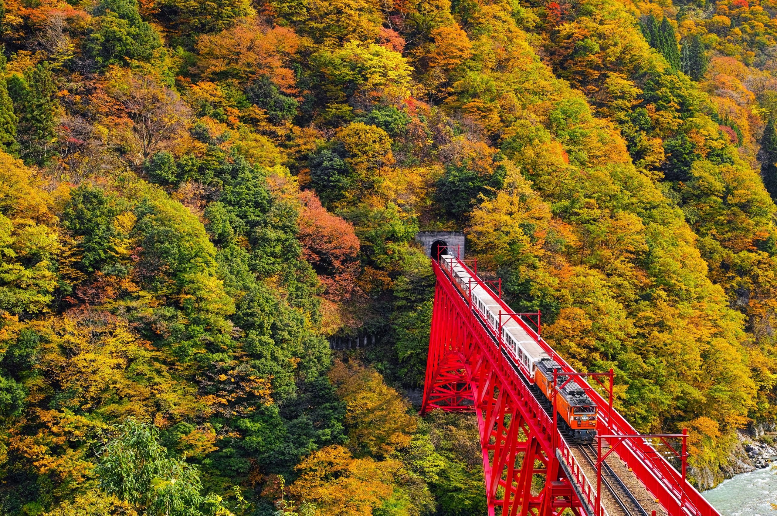彩り豊かな紅葉！黒部渓谷トロッコ電車の車窓から楽しむ絶景旅