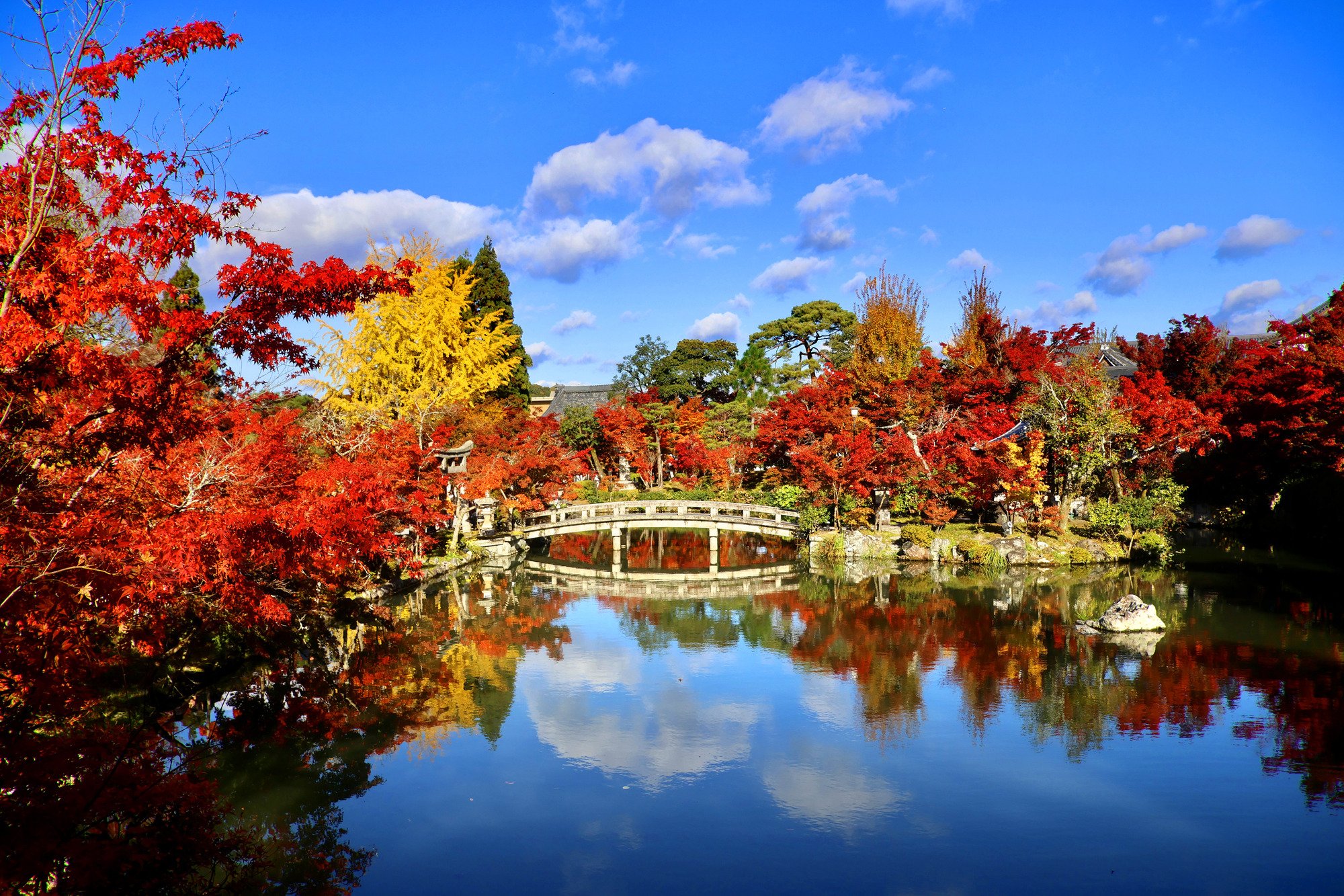 ORIX HOTELS & RESORTSの泊まって、楽しむ紅葉旅
