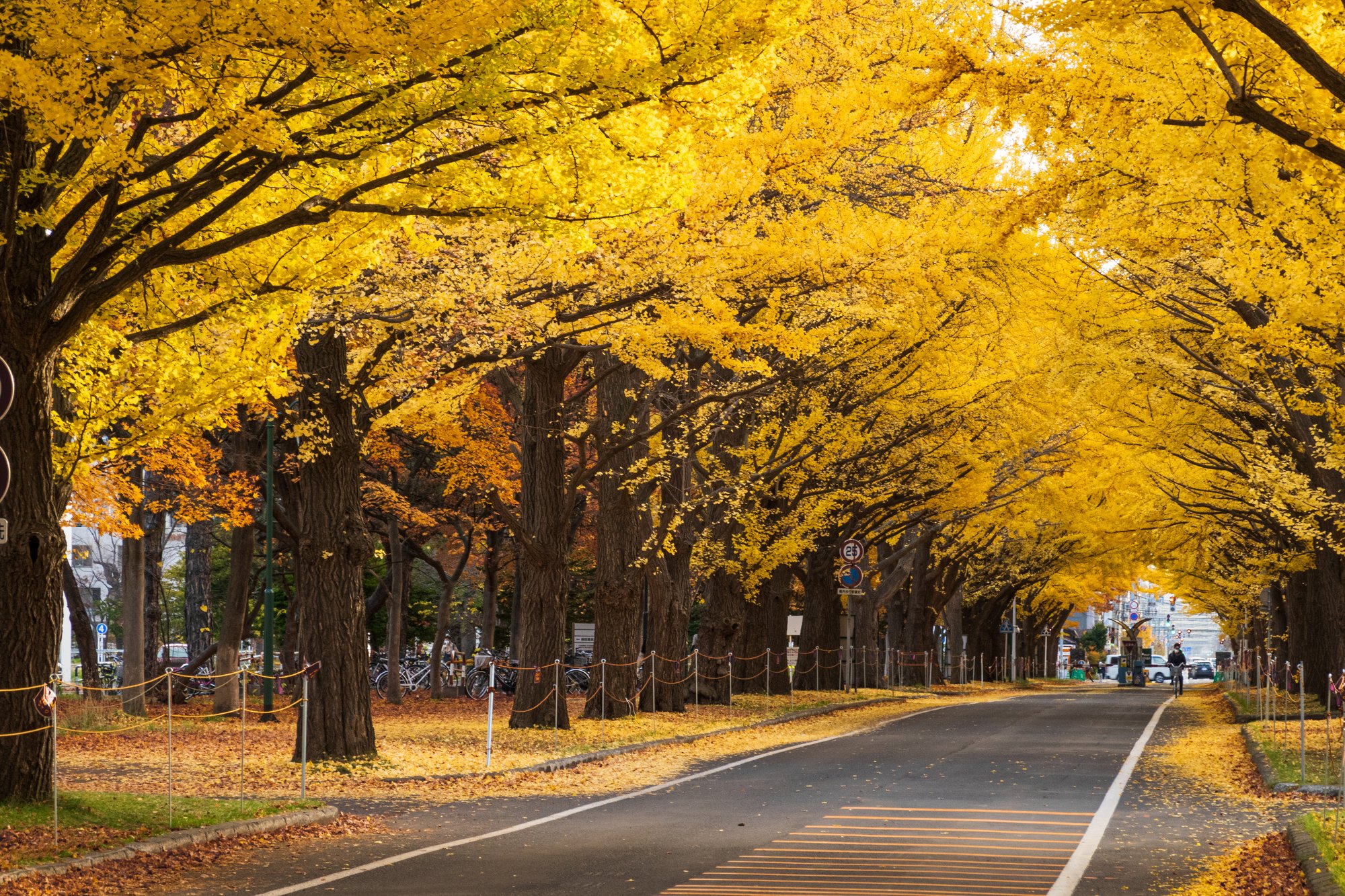 ORIX HOTELS & RESORTSの泊まって、楽しむ紅葉旅
