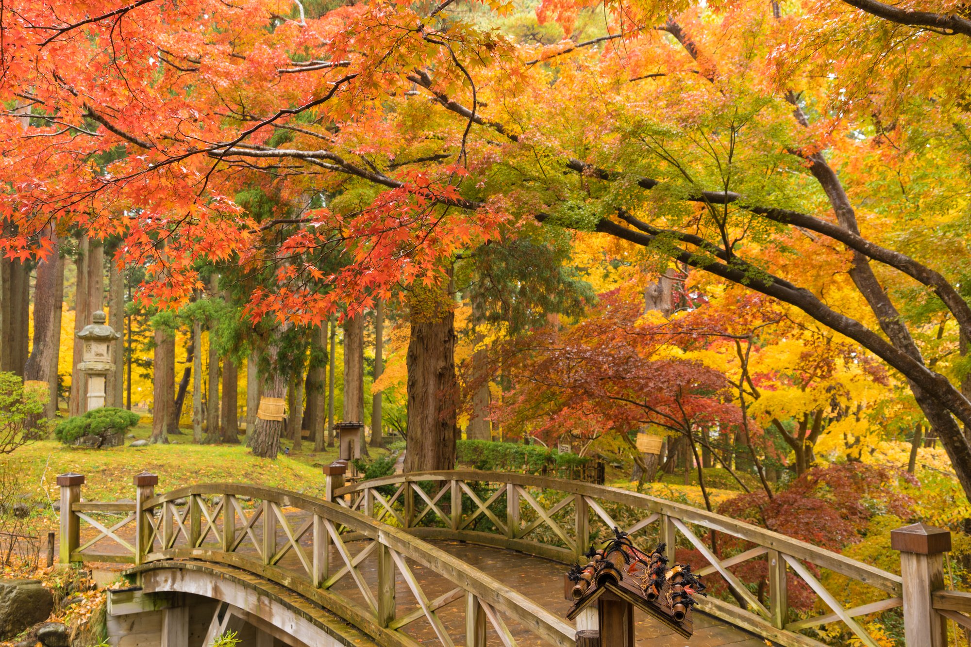 ORIX HOTELS & RESORTSの泊まって、楽しむ紅葉旅