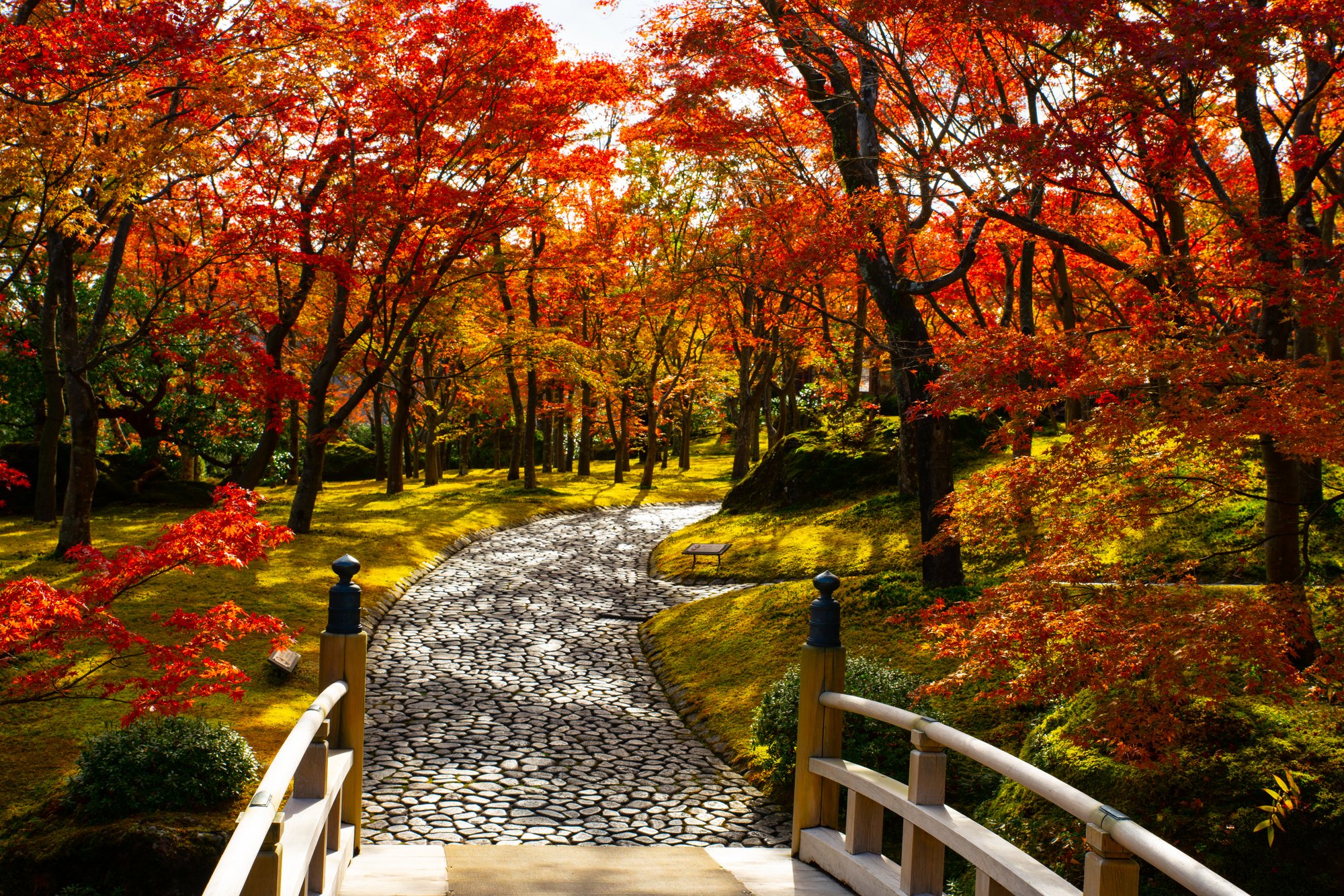 ORIX HOTELS & RESORTSの泊まって、楽しむ紅葉旅