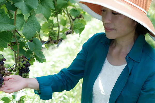 クロスホテル札幌北海道産ワイン消費拡大プロジェクトをスタート 「スパークリングワインデー」を9月・12月に開催