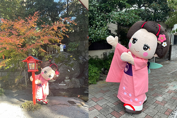 ホテル ミクラス 熱海芸妓文化の継承と支援~『湯めまちをどり~華の舞』鑑賞オリジナル宿泊プラン