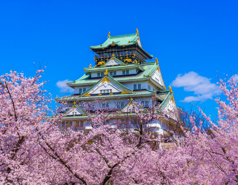 ▲咲き誇る桜と大阪城　＜画像提供：PIXTA＞