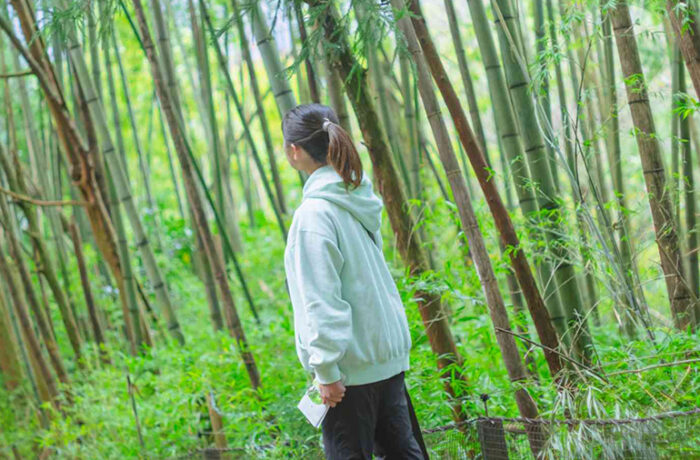 はなをりから箱根九頭龍の森まで芦ノ湖を望みながら木漏れ日そそぐ森の中へ