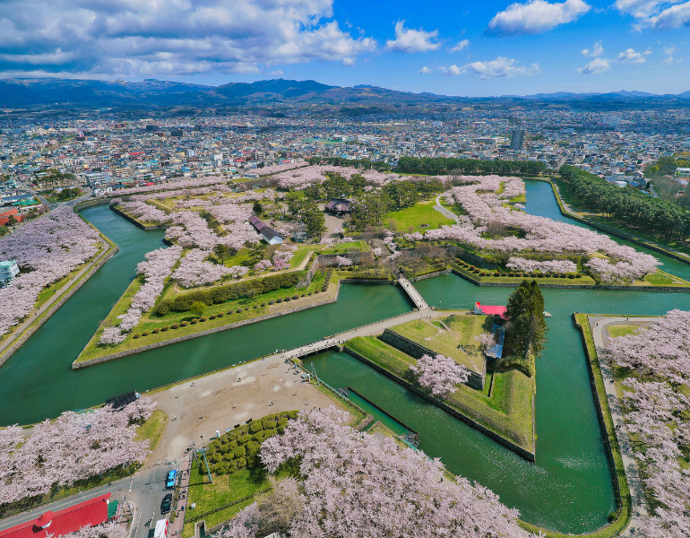 ▲五稜郭公園の桜 <画像提供:PIXTA>