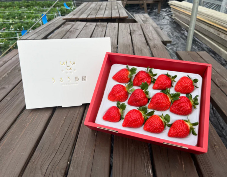 ▲うるう農園 特選あまおう <画像提供:うるう農園>