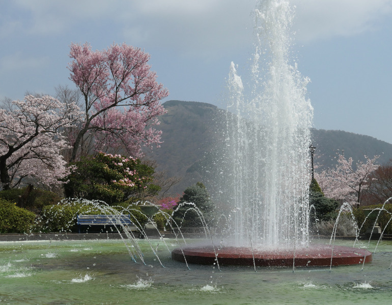▲箱根強羅公園 <画像提供:PIXTA>