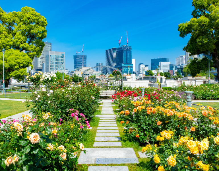 ▲中之島公園 <画像提供:PIXTA>