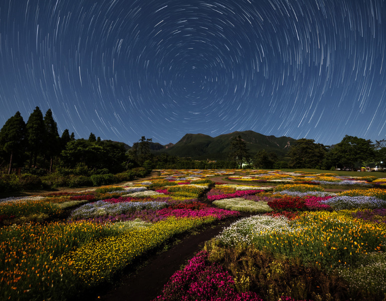 ▲くじゅう花公園　＜画像提供：くじゅう花公園＞