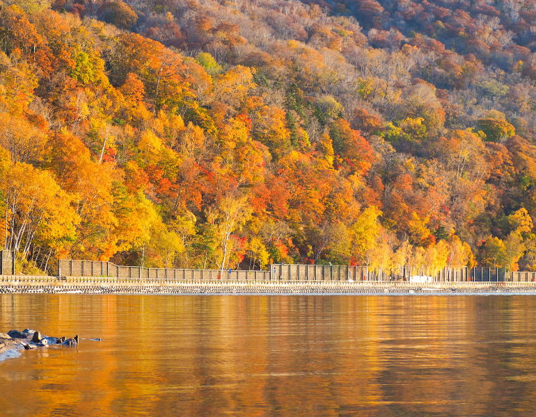 ▲支笏湖の紅葉 <画像提供:PIXTA>