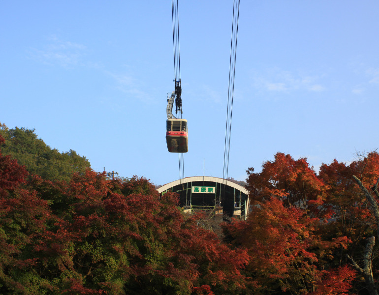 ▲別府ロープウェイ　紅葉　＜画像提供：別府ロープウェイ＞