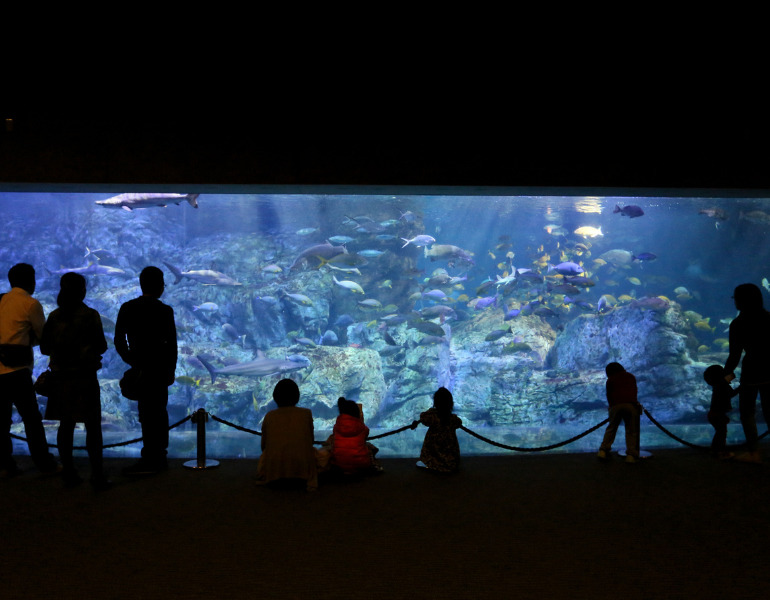 ▲大分マリーンパレス水族館「うみたまご」 <画像提供:大分マリーンパレス水族館「うみたまご」>