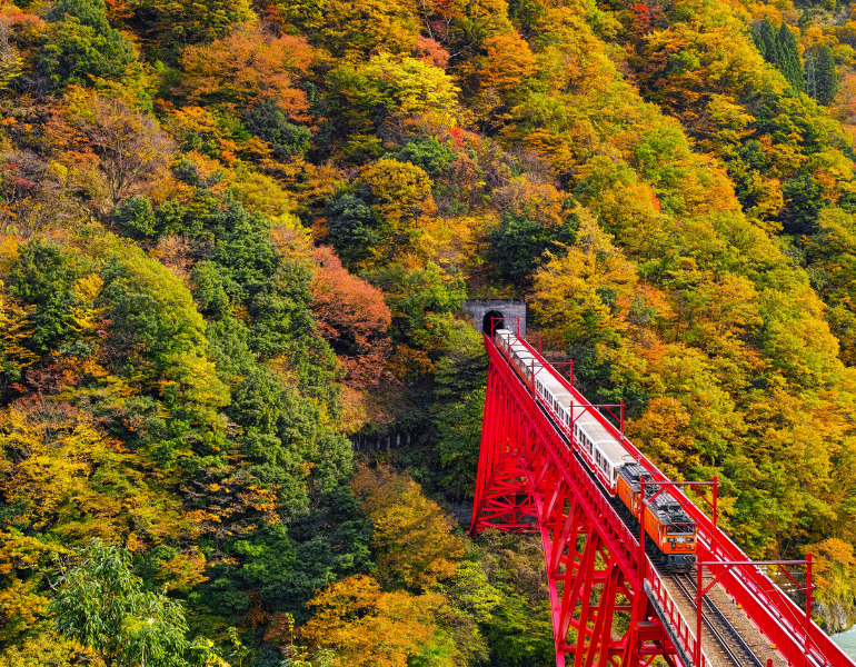 彩り豊かな紅葉!黒部渓谷トロッコ電車の車窓から楽しむ絶景旅|にっぽん旅めぐり