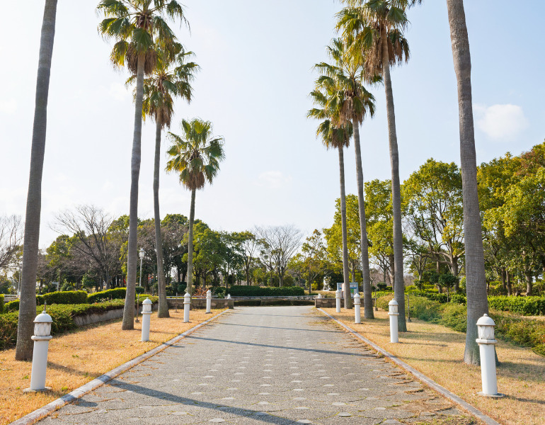 ▲舞洲緑地 <画像提供:PIXTA >