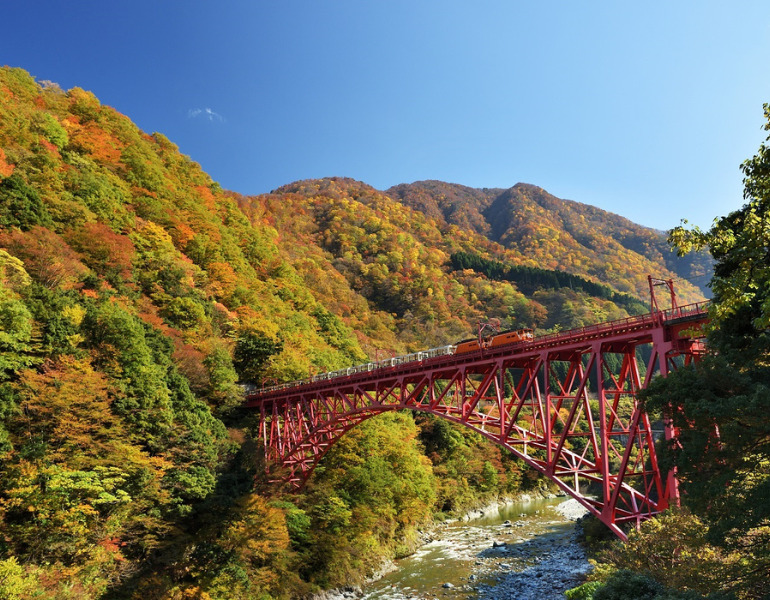▲紅葉の中を行く黒部峡谷鉄道(黒部峡谷トロッコ電車) <画像提供:黒部峡谷鉄道株式会社>