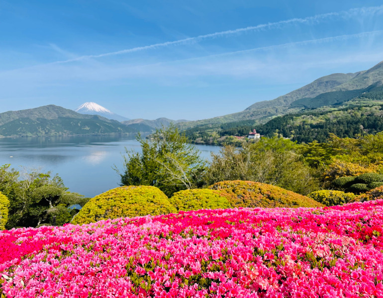 ▲「弁天の鼻展望台」から眺める芦ノ湖と富士山　＜画像提供：恩賜箱根公園＞