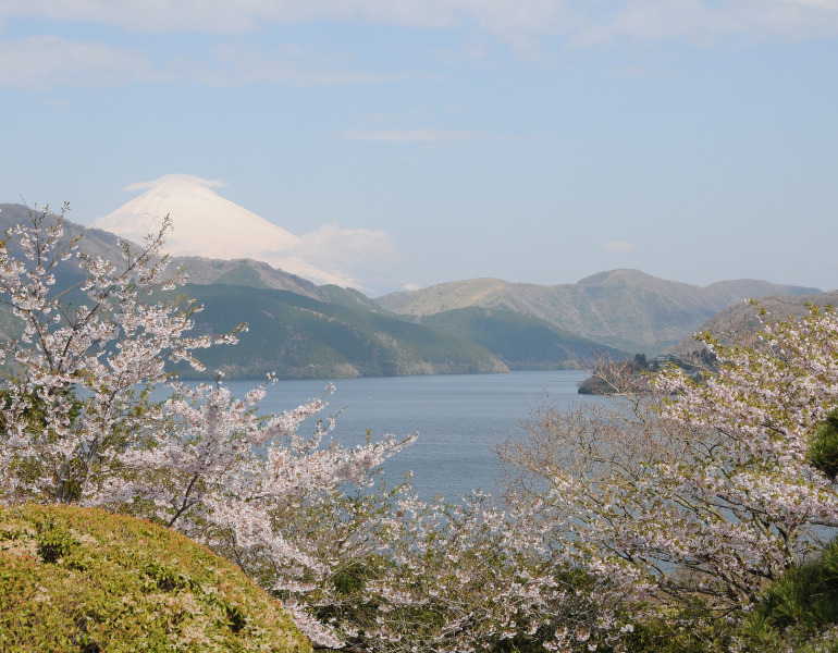 ▲芦ノ湖と桜　＜画像提供：恩賜箱根公園＞