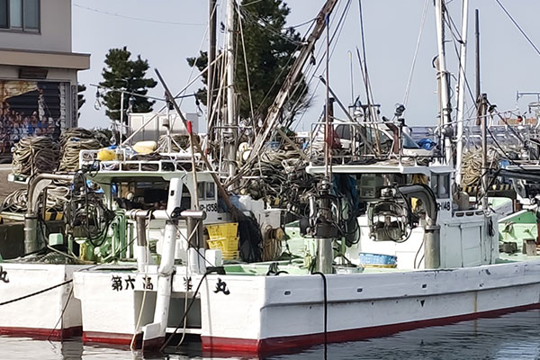 黒部・宇奈月温泉 やまのは　魚津漁港の“もったいない魚”を揚げたてアジフライやお刺身で宇奈月温泉初の低利用魚ビュッフェメニューを開始