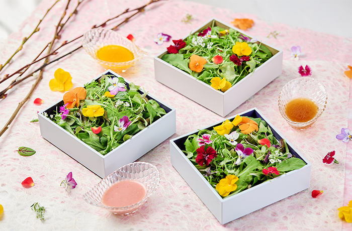 箱を開けるとはじまる花咲く前菜「はな手箱」が登場はなをりの夕食ビュッフェが1月24日にリニューアル