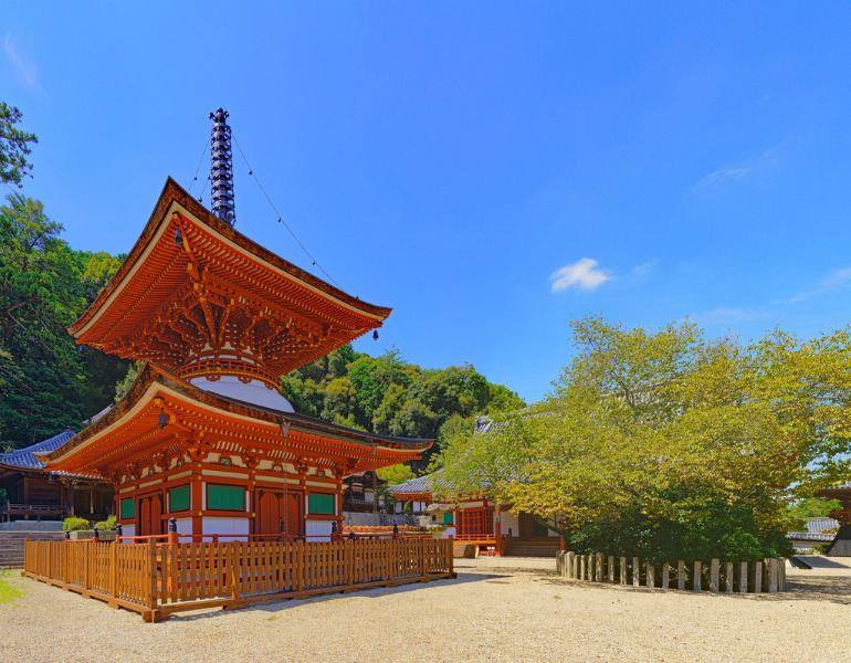 ▲天野山 金剛寺<画像提供:PIXTA>