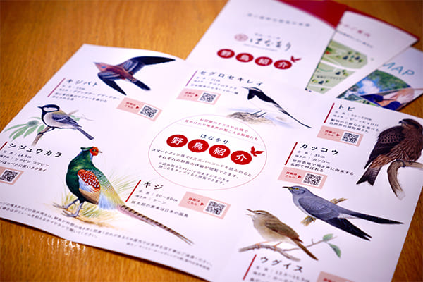 芦ノ湖畔でよく見る野鳥を掲載した野鳥紹介リーフレット