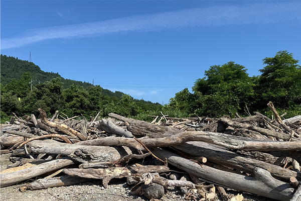 アートを通して旅行先の産業とSDGsに触れる本来は捨てられてしまう「地域のもの」をアートに再生し展示