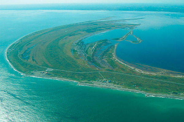 ふるさと納税で人気の北海道の東端・別海町から届くホタテや牛肉などの美味を堪能「別海町フェア」