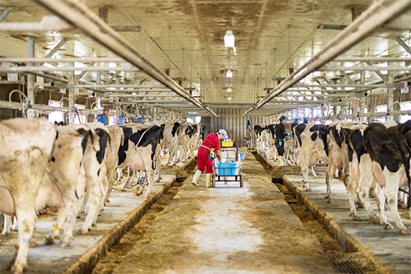 ふるさと納税で人気の北海道の東端・別海町から届くホタテや牛肉などの美味を堪能「別海町フェア」