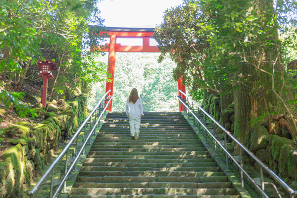 自身のペースで芦ノ湖畔を散策しながら箱根三社参り湖畔を歩き、心を整え、三社の加護を授かる参拝旅行