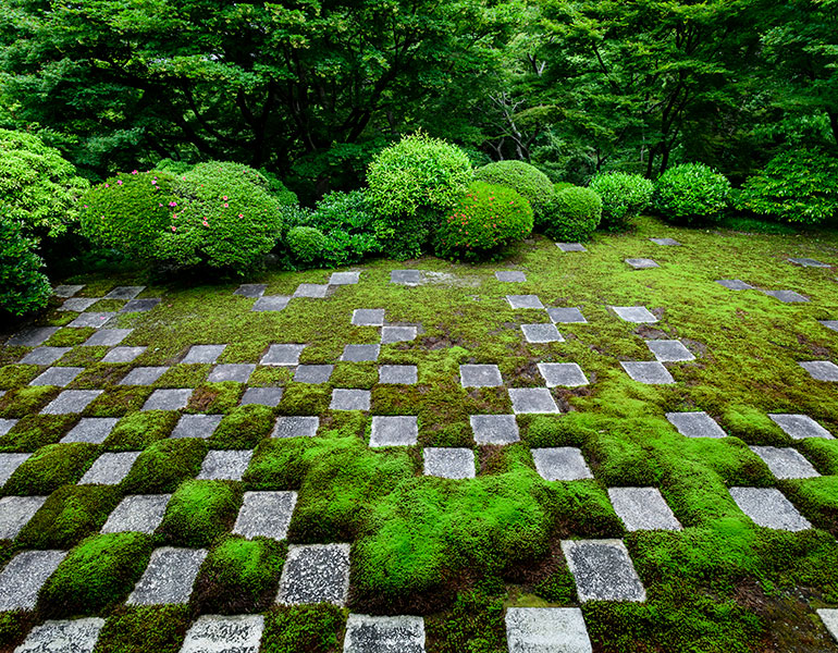 ▲提供：東福寺