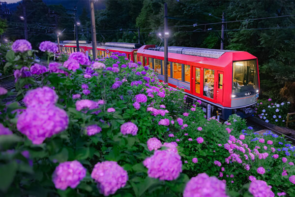 箱根登山電車「夜のあじさい号」6月13日(土)運行開始強羅駅にて、旅館ならではのおもてなしで来訪者を歓迎