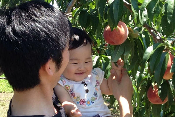 東鳳 土用の日に桃！採って食べて、浸かって、桃づくし！７月土用の日限定の「桃の葉湯」を開催