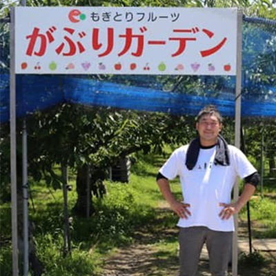 東鳳 土用の日に桃！採って食べて、浸かって、桃づくし！７月土用の日限定の「桃の葉湯」を開催