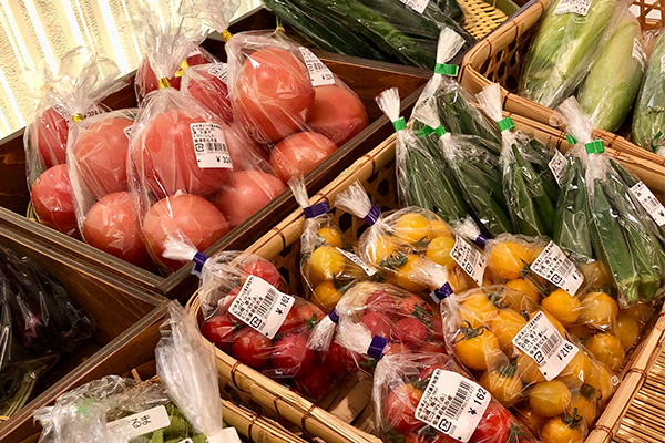 旅館で体験!会津新鮮野菜市×まるかじり野菜提供でおいしく学ぶ 食品ロスへの取組と会津伝統野菜の提供を8月1日より期間限定開催