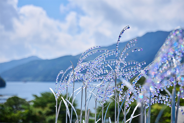 ススキでつながる絶景と芸術の秋芦ノ湖からススキ草原と美術館を周遊する秋の箱根旅