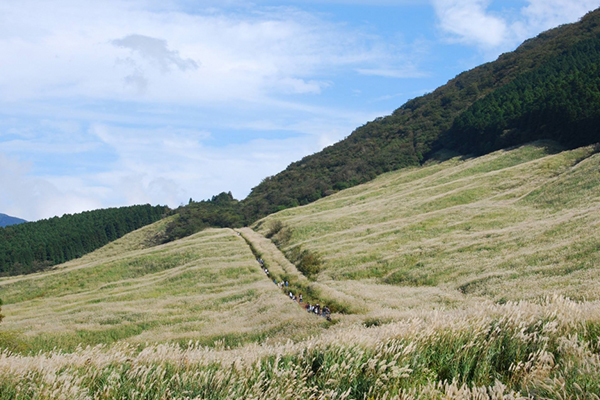 ススキでつながる絶景と芸術の秋芦ノ湖からススキ草原と美術館を周遊する秋の箱根旅