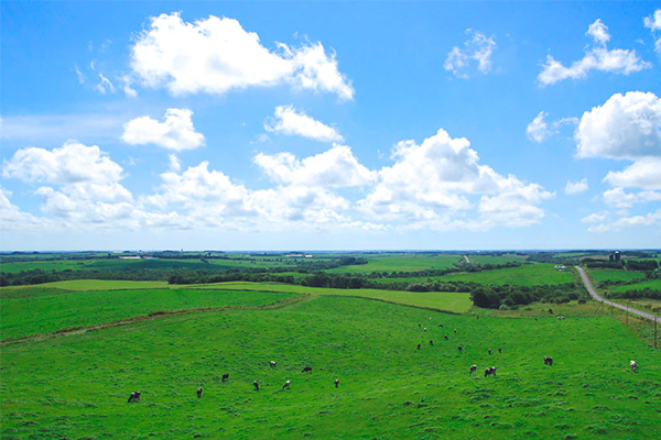 ふるさと納税で人気の北海道の東端・別海町から届くホタテや牛肉などの美味を堪能「別海町フェア」