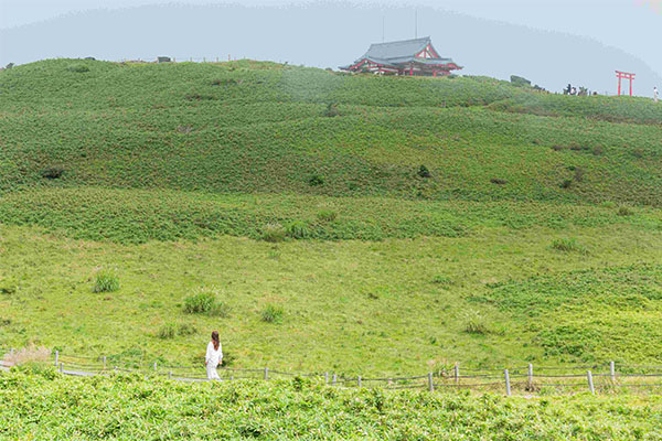 自身のペースで芦ノ湖畔を散策しながら箱根三社参り湖畔を歩き、心を整え、三社の加護を授かる参拝旅行