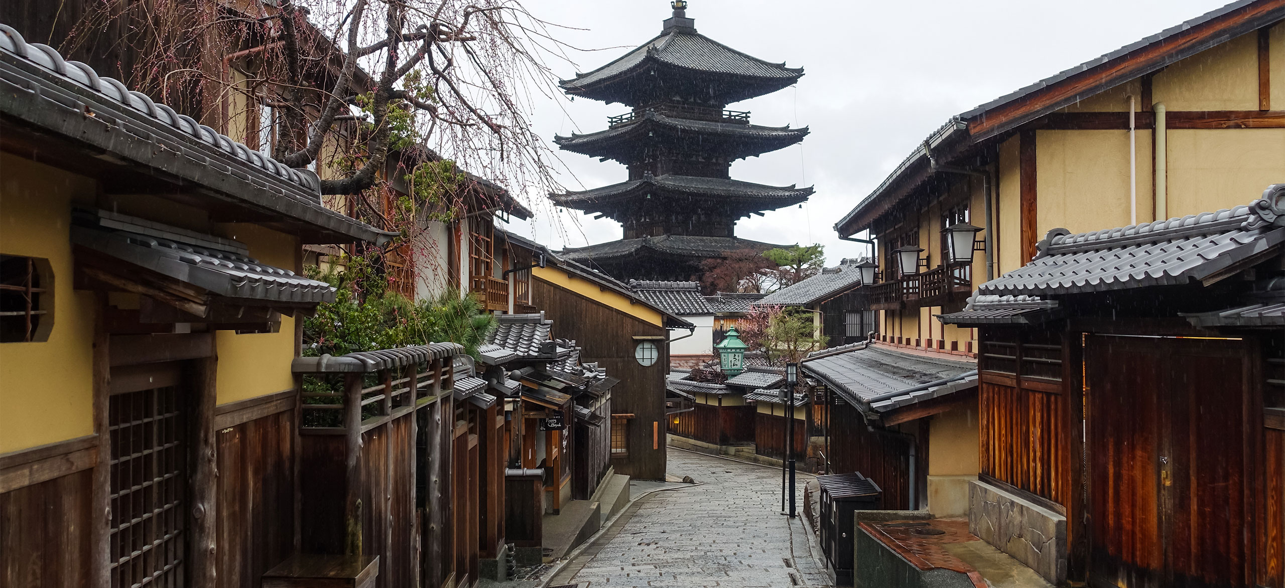 梅雨を楽しむ、京都 “彩り”旅｜にっぽん旅めぐり