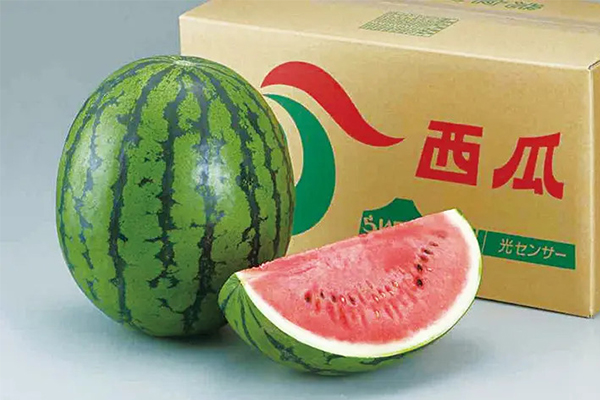 北海道が誇る農産物ブランド「らいでん」を朝食・ランチで！共和町との地域共創活動を2026年7月10日（金）より開始
